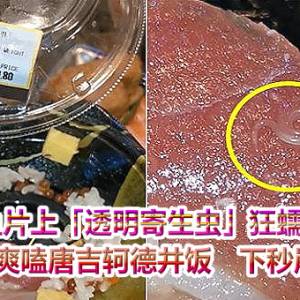 生鱼片上「透明寄生虫」狂蠕动！人妻爽嗑唐吉轲德井饭　下秒崩溃