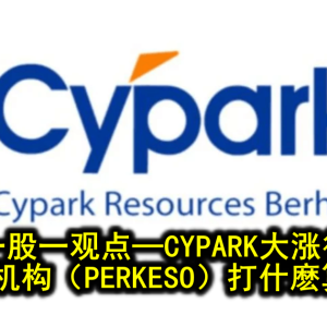 会员一股一观点─CYPARK大涨後进场 社险机构（PERKESO）打什麽算盘？