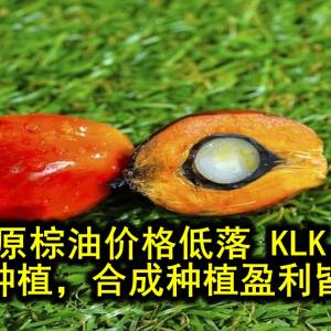 原棕油价格低落 KLK，云顶种植，合成种植盈利皆下跌