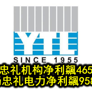 杨忠礼机构净利飊4657% 杨忠礼电力净利飊958%