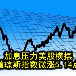 加息压力美股横摆 道琼斯指数微涨5.14点