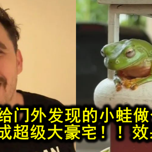 小哥想给门外发现的小蛙做个房子，最后做成超级大豪宅！！效果绝了！