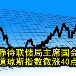 市场静待联储局主席国会陈词 道琼斯指数微涨40点