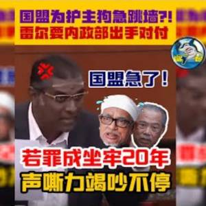 国盟急了！雷尔称哈迪挑衅犯法？！伊党群起狡辩？！闭麦都闭不住他们的嘴！