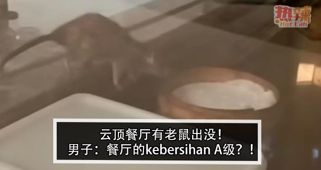 云顶餐厅有老鼠出没！男子：餐厅的kebersihan A级？！