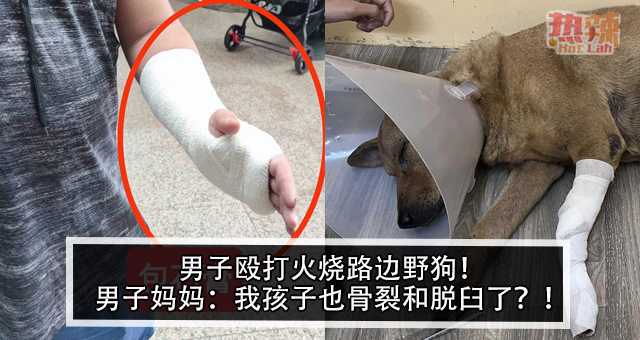 男子虐待路边狗狗，被揭穿后遭人肉，母亲发文道歉，网友怒斥：网络照片骗人！