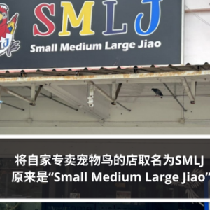 将自家专卖宠物鸟的店取名为SMLJ 原来是“Small Medium Large Jiao”