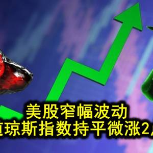 美股窄幅波动 道琼斯指数持平微涨2点