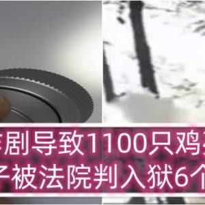 恶作剧导致1100只鸡死亡，男子被法院判入狱6个月！