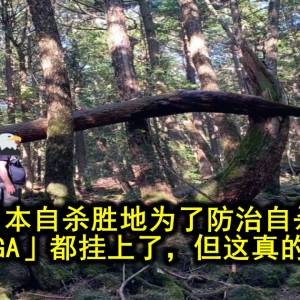 有人往日本自杀森林投放大量飞机杯，想让人进入贤者模式，从而放弃自杀？？