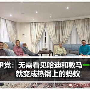 伊斯兰党：无需看见哈迪和敦马哈迪一起 就变成热锅上的蚂蚁