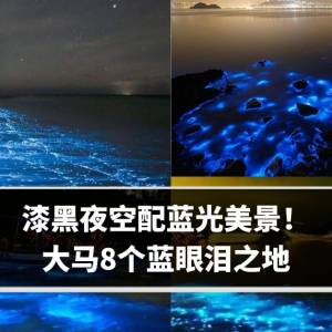 漆黑夜空配蓝光美景！  大马8个蓝眼泪之地