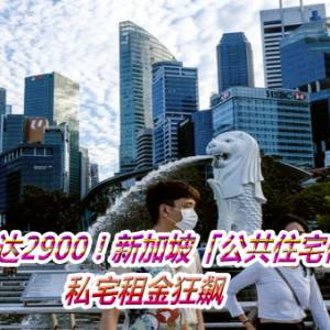 1房租金高达2900！新加坡「公共住宅供不应求」　私宅租金狂飙