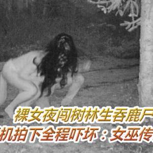 裸女夜闯树林生吞鹿尸　她架摄影机拍下全程吓坏：女巫传说是真的