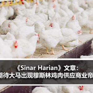 《Sinar Harian》文章：期待马来西亚出现穆斯林鸡肉供应商业帝国