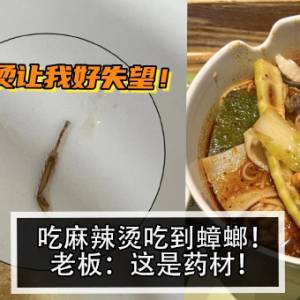 吃麻辣烫吃到蟑螂！老板：这是药材！