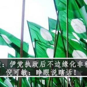 哈迪：伊党执政后不边缘化非穆斯林    倪可敏：睁眼说瞎话！