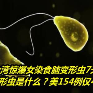 台湾惊爆女染食脑变形虫7天亡！食脑变形虫是什么？美154例仅4人存活