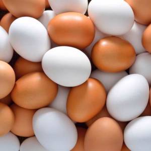褐色与白色鸡蛋哪个更营养？　营养师解开谜团...买蛋要注意一件事！