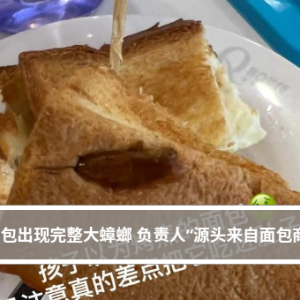 面包出现完整大蟑螂 负责人“源头来自面包商”