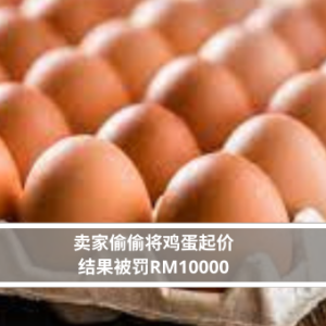 卖家偷偷将鸡蛋起价 结果被罚RM10000