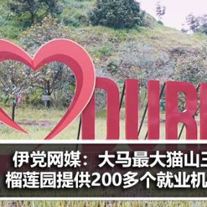 伊党网媒：猫山王榴莲园提供200多个就业机会