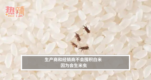 生产商和经销商不会囤积白米 因为会生米虫