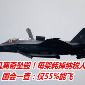 美F-35战机离奇坠毁！每架耗掉纳税人1.7亿美金　国会一查：仅55%能飞