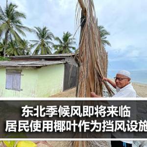 东北季候风即将来临 居民使用椰叶作为挡风设施