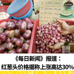 《每日新闻》报道：红葱头价格据称上涨高达30%