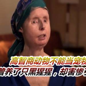 高智商动物不能当宠物？美国女子曾养了只黑猩猩，却害惨了闺蜜！