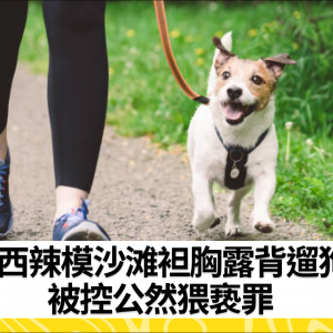 巴西辣模沙滩袒胸露背遛狗 被控公然猥亵罪