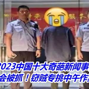 2023中国十大奇葩新闻事件：早晚会被抓！窃贼专挑中午作案