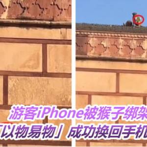 游客iPhone被猴子绑架　「以物易物」成功换回手机