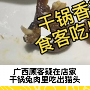 广西顾客疑在店家干锅兔肉里吃出猫头