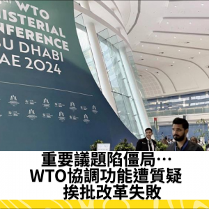 重要議題陷僵局…WTO協調功能遭質疑　挨批改革失敗