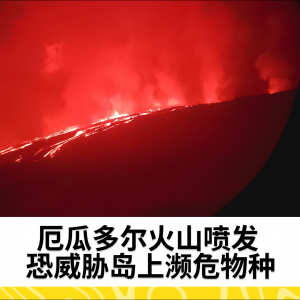 厄瓜多尔火山喷发 恐威胁岛上濒危物种