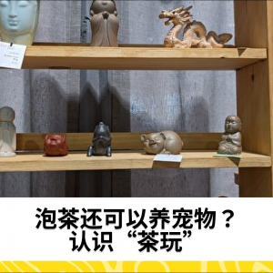 泡茶还可以养宠物？认识“茶玩”