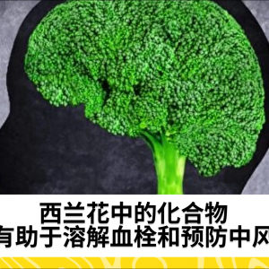 西兰花中的化合物有助于溶解血栓和预防中风