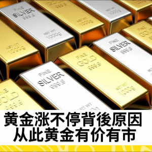黄金涨不停背後原因 从此黄金有价有市