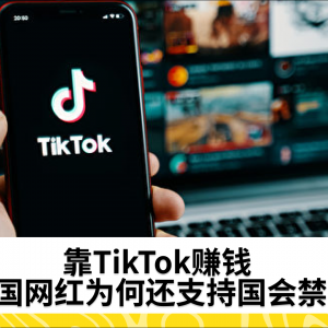 靠TikTok赚钱 美国网红为何还支持国会禁令