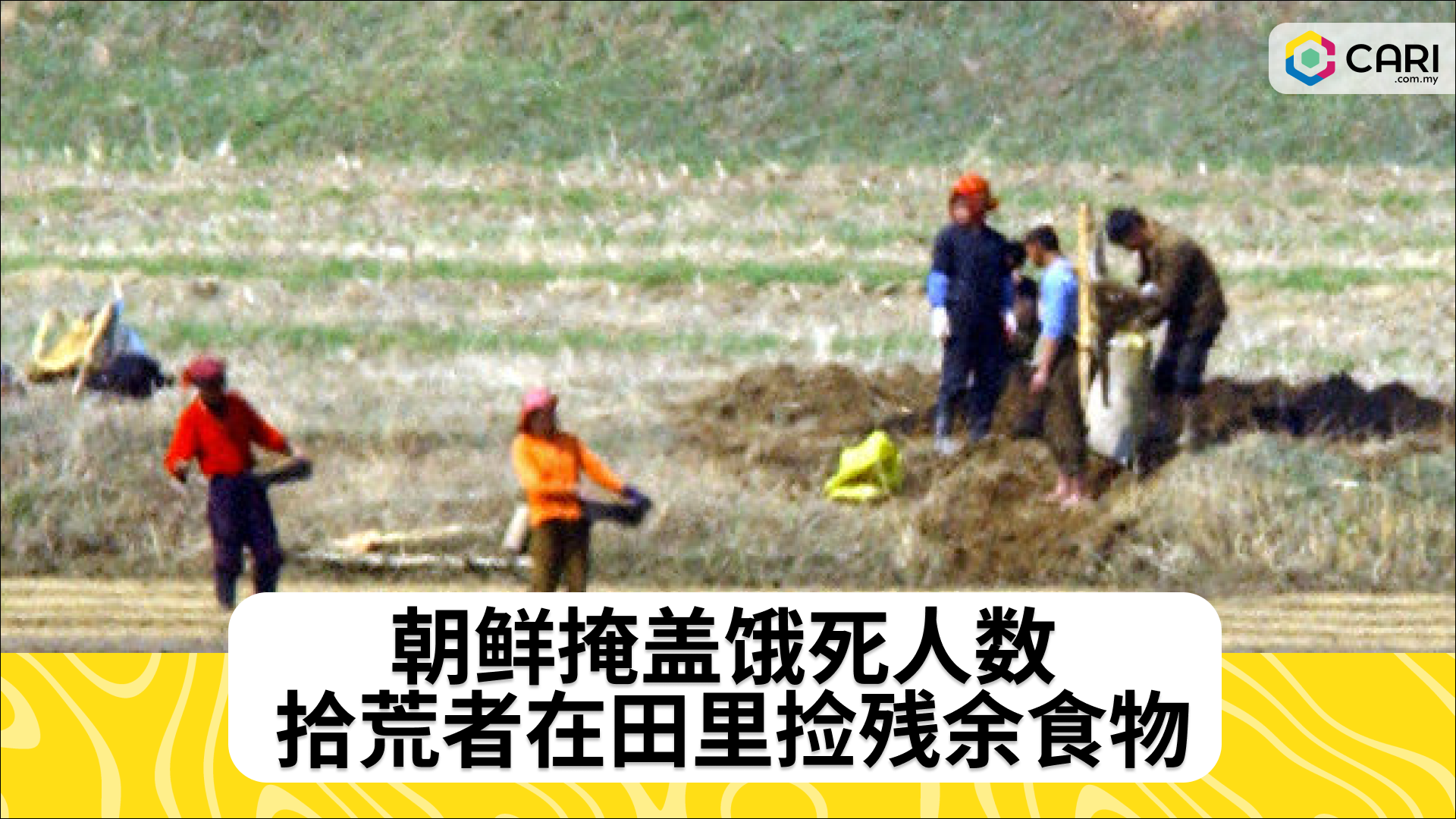 朝鲜掩盖饿死人数 拾荒者在田里捡残余食物