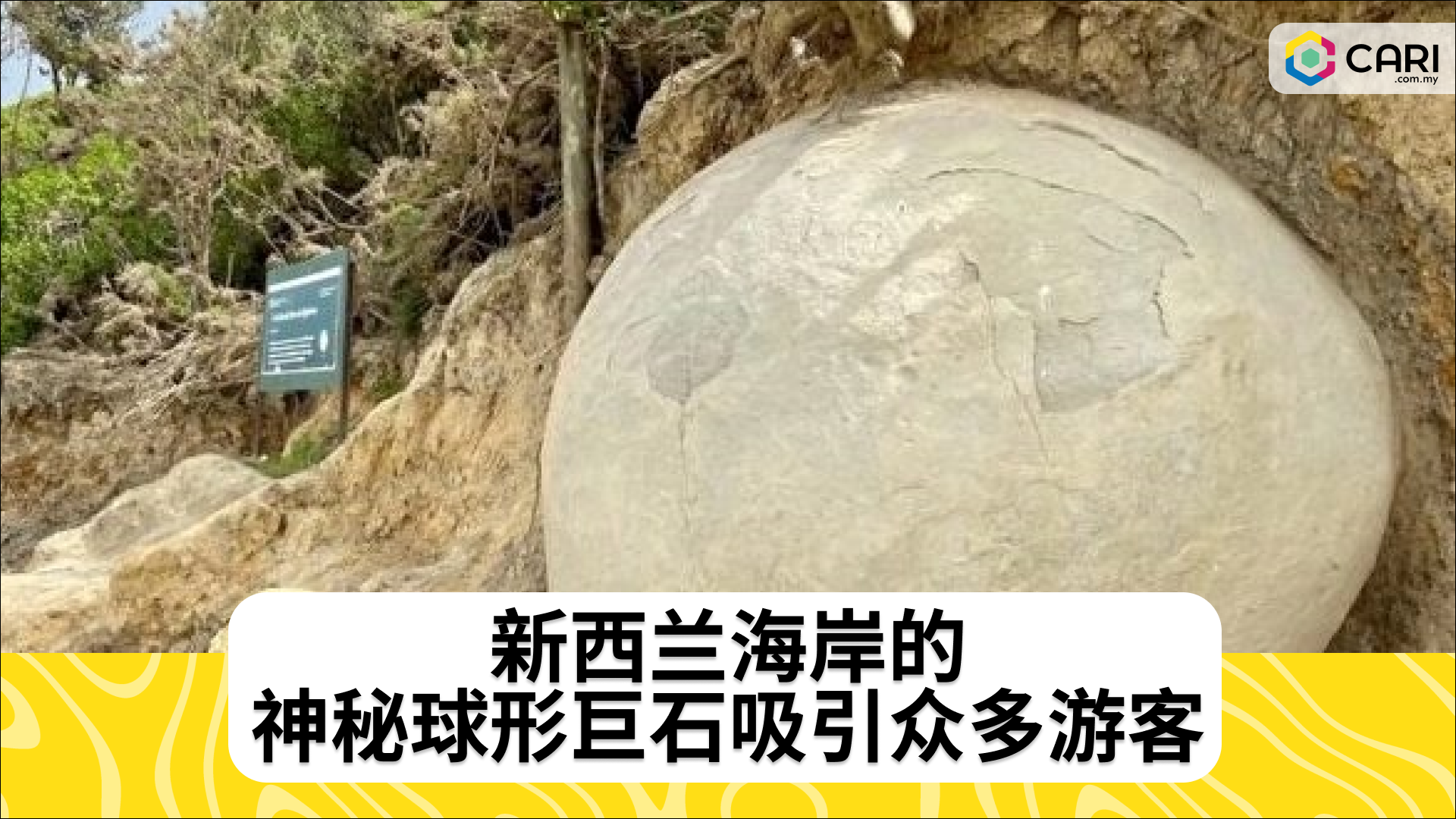 新西兰海岸的神秘球形巨石吸引众多游客