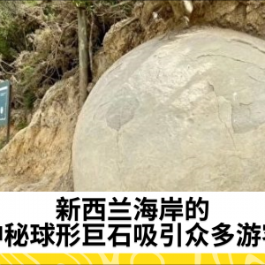 新西兰海岸的神秘球形巨石吸引众多游客