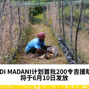 BUDI MADANI计划：200令吉援助金将于6月10日发放