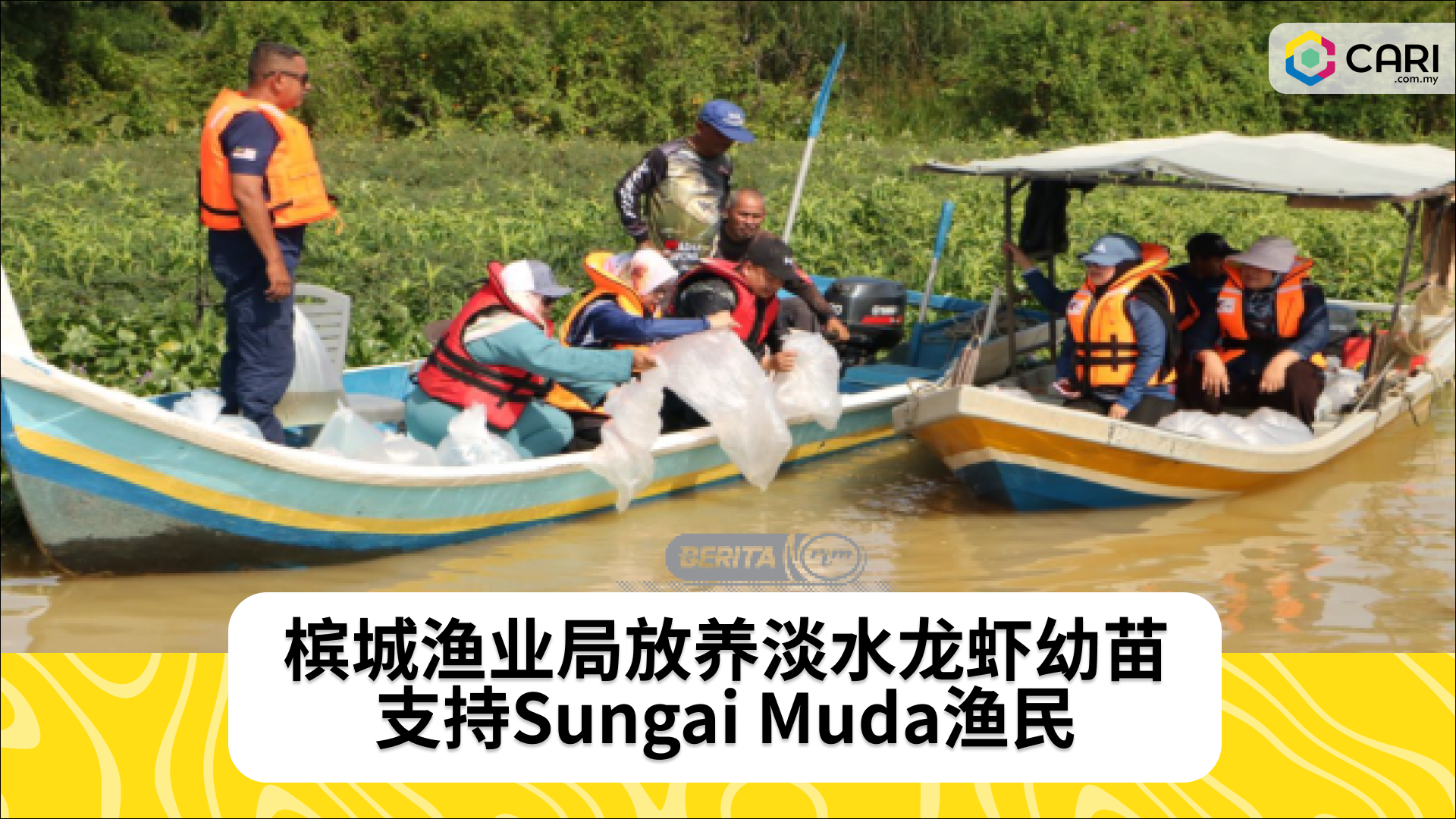 放养淡水龙虾造福Sungai Muda渔民