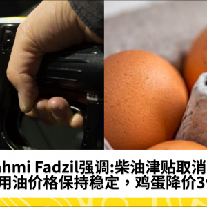 Fahmi Fadzil强调:柴油津贴取消后食用油价格保持稳定，鸡蛋降价3仙