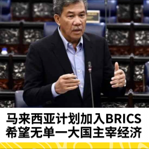 BRICS：马来西亚希望确保无单一大国主宰世界经济