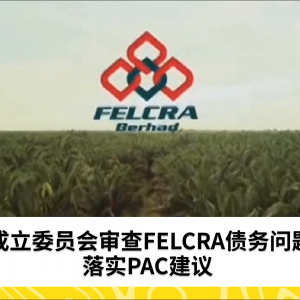 FELCRA债务负担，委员会成立审查PAC建议