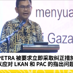 PETRA 被要求立即采取纠正措施以应对 LKAN 和 PAC 的指出问题